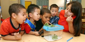 Children examine a snail with teacher in New York City day care center.